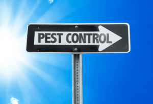 pest control 